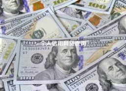 个人信用网贷查询