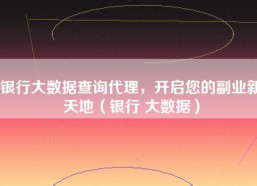 银行大数据查询代理，开启您的副业新天地（银行 大数据）