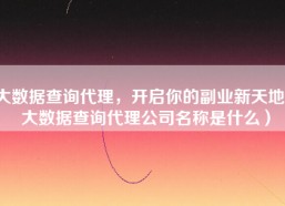大数据查询代理，开启你的副业新天地（大数据查询代理公司名称是什么）