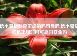 信小易贷款是正规的吗可靠吗,信小易贷款是正规的吗可靠吗安全吗