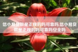 信小易贷款是正规的吗可靠吗,信小易贷款是正规的吗可靠吗安全吗