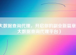 大数据查询代理，开启你的副业新篇章（大数据查询代理平台）
