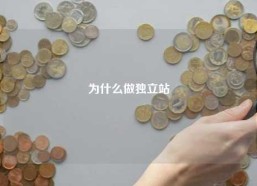 为什么做独立站