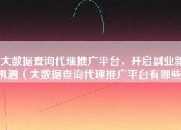 大数据查询代理推广平台，开启副业新机遇（大数据查询代理推广平台有哪些）