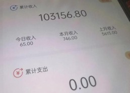 利用大数据查询推广赚钱，代理大数据查询赚钱么！
