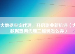 大数据查询代理，开启副业新机遇（大数据查询代理二维码怎么弄）