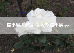 信小易大数据D怎么办,信小易app