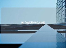 独立站发什么快递