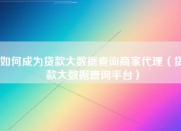 如何成为贷款大数据查询商家代理（贷款大数据查询平台）