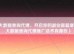 大数据查询代理，开启你的副业新篇章（大数据查询代理推广话术有哪些）