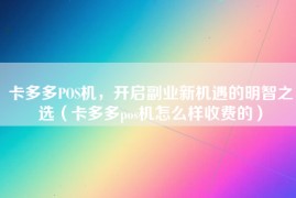 卡多多POS机，开启副业新机遇的明智之选（卡多多pos机怎么样收费的）