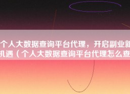 个人大数据查询平台代理，开启副业新机遇（个人大数据查询平台代理怎么查）