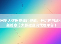 网络大数据查询代理商，开启你的副业新篇章（大数据查询代理平台）