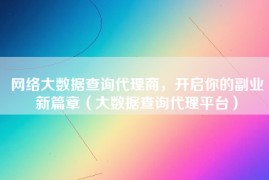 网络大数据查询代理商，开启你的副业新篇章（大数据查询代理平台）