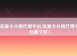 流量卡分销代理平台,流量卡分销代理平台哪个好）