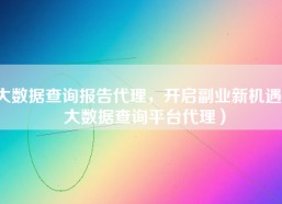 大数据查询报告代理，开启副业新机遇（大数据查询平台代理）