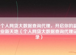 个人网贷大数据查询代理，开启你的副业新天地（个人网贷大数据查询代理记录）