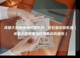 成都大数据查询代理机构，开启副业新机遇（成都大数据查询代理机构有哪些）