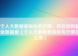 个人大数据查询业务代理，开启你的副业新篇章（个人大数据查询业务代理怎么查）