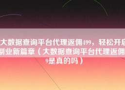 大数据查询平台代理返佣499，轻松开启副业新篇章（大数据查询平台代理返佣499是真的吗）