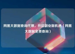 网黑大数据查询代理，开启副业新机遇（网黑大数据免费查询）