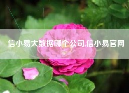 信小易大数据哪个公司,信小易官网
