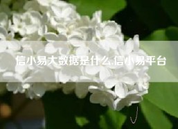 信小易大数据是什么,信小易平台