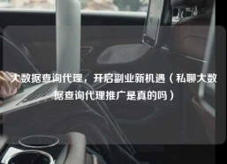 大数据查询代理，开启副业新机遇（私聊大数据查询代理推广是真的吗）