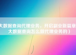 大数据查询代理业务，开启副业新篇章（大数据查询怎么做代理业务的）