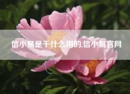 信小易是干什么用的,信小易官网