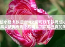 信小易大数据查询之后可以下款吗,信小易大数据查询之后可以下款吗是真的吗
