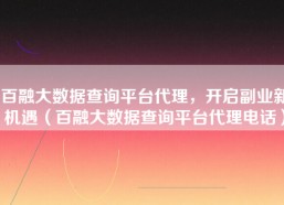 百融大数据查询平台代理，开启副业新机遇（百融大数据查询平台代理电话）