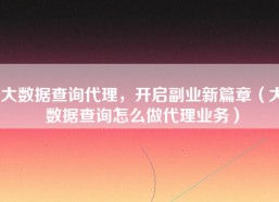 大数据查询代理，开启副业新篇章（大数据查询怎么做代理业务）