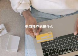 电商独立站是什么