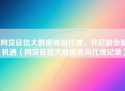 网贷征信大数据查询代理，开启副业新机遇（网贷征信大数据查询代理记录）