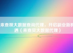 来查呗大数据查询代理，开启副业新机遇（来查贝大数据代理）