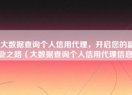 大数据查询个人信用代理，开启您的副业之路（大数据查询个人信用代理信息）