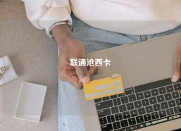联通沧西卡