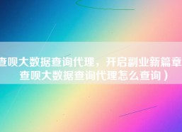 查呗大数据查询代理，开启副业新篇章（查呗大数据查询代理怎么查询）
