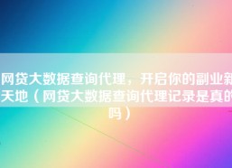 网贷大数据查询代理，开启你的副业新天地（网贷大数据查询代理记录是真的吗）
