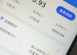 大数据查询代理推广平台，真的能赚钱吗？