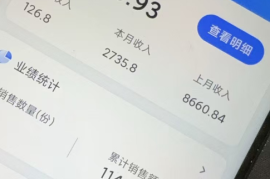 大数据查询代理推广平台，真的能赚钱吗？