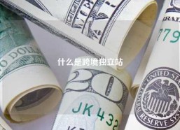 什么是跨境独立站