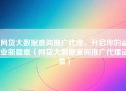 网贷大数据查询推广代理，开启你的副业新篇章（网贷大数据查询推广代理记录）