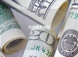 什么是独立站