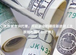 大数据查询代理，开启副业的赚钱新途径（大数据查询平台代理）