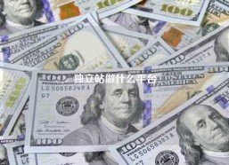 独立站做什么平台
