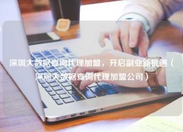 深圳大数据查询代理加盟，开启副业新机遇（深圳大数据查询代理加盟公司）