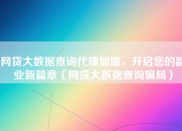 网贷大数据查询代理加盟，开启您的副业新篇章（网贷大数据查询骗局）