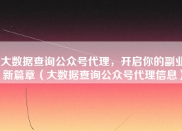 大数据查询公众号代理，开启你的副业新篇章（大数据查询公众号代理信息）